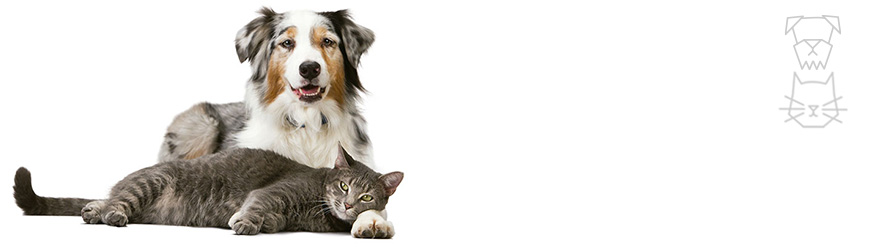 Tea estetica_e_higiene